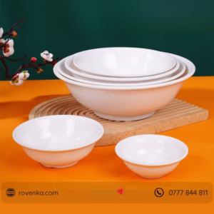 Melamine Noodle Bowl