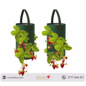 Hanging Strawberry Grow Bag