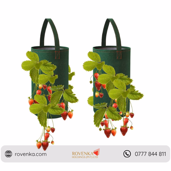 Hanging Strawberry Grow Bag