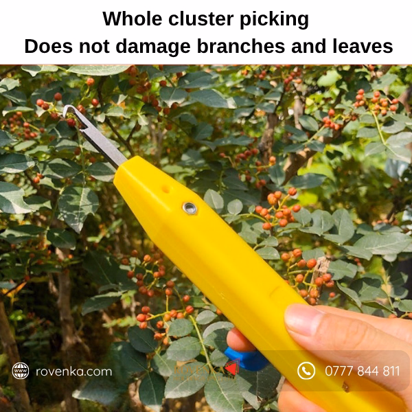 Prickly Ash Fruit Picking Tool - Image 4