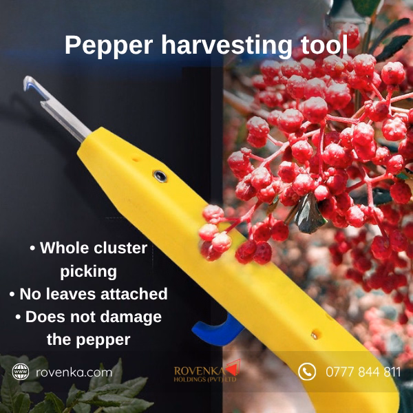 Prickly Ash Fruit Picking Tool - Image 5
